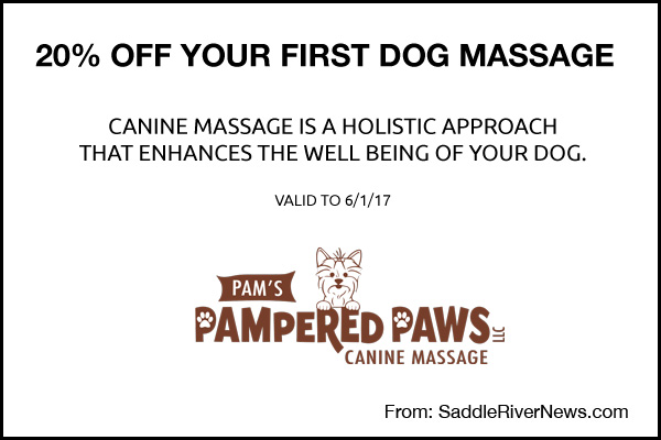 Coupon for Pam's Pampered Paws