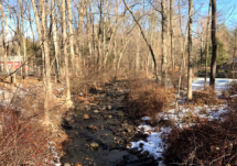 Saddle River, NJ has tons of creeks