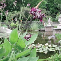 Waterford Gardens